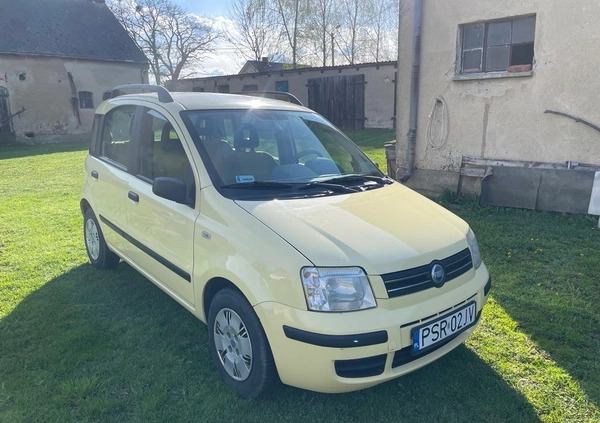 Fiat Panda cena 5500 przebieg: 235000, rok produkcji 2005 z Lidzbark małe 67